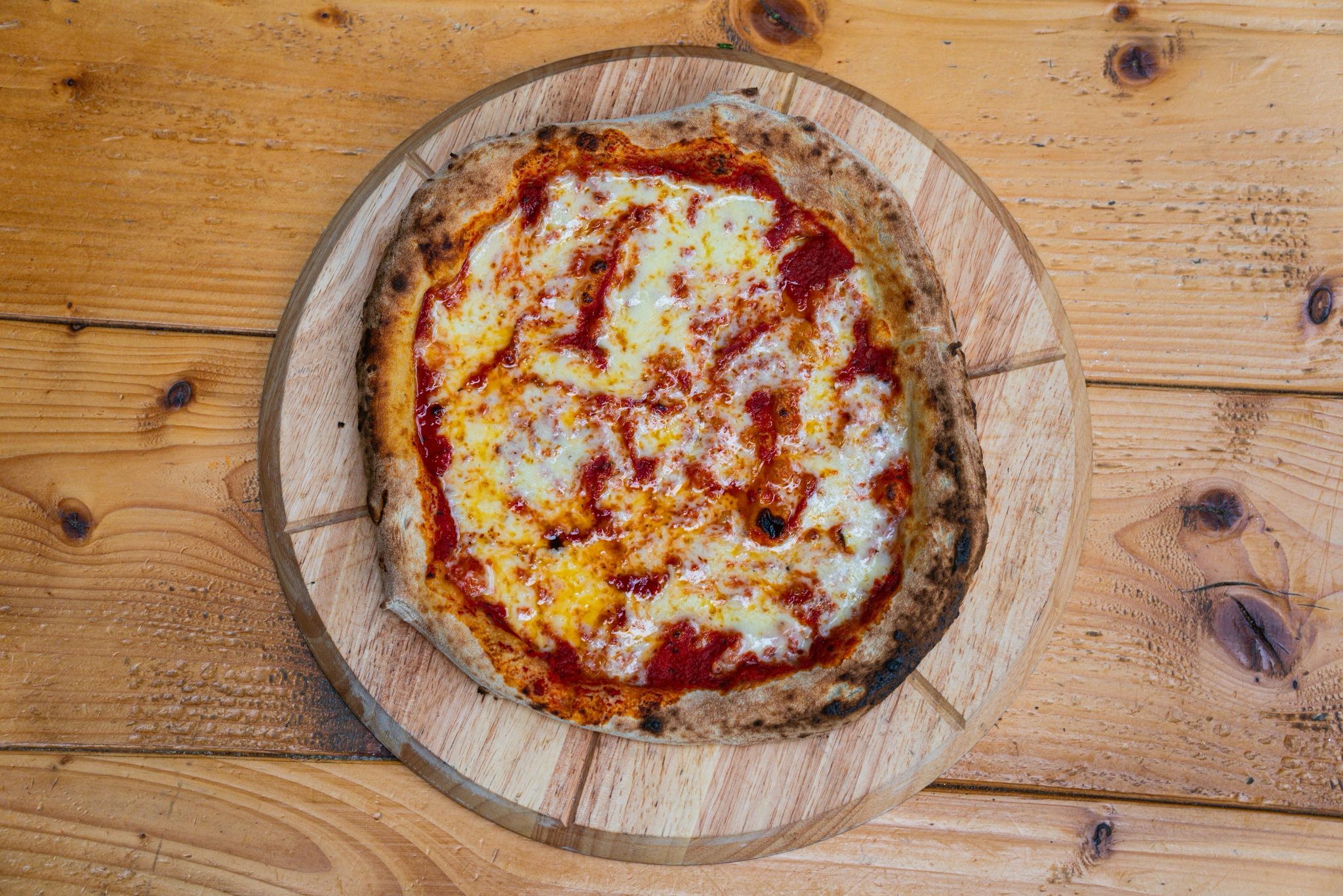 WhatsApp Image 2026-03-06 at 10.18.44 (3)